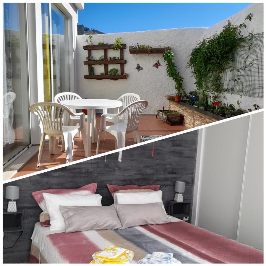 Casa 4P - Alojamento Local - Pura Paixao Por Penacova Villa Esterno foto